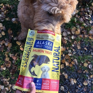 May include: A yellow and blue package of Alaska Wild Treats salmon dog treats. The package features a picture of a salmon and a dog. The text on the package reads "#1 Veterinarian's Choice", "100% Wild Alaskan Salmon", "Hypoallergenic", "Natural Salmon Treats", "Supports Healthy Skin & Coat", and "4 oz (113g)".
