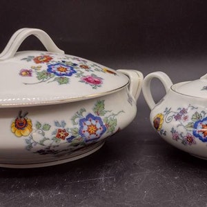Antique, Union T, Czechoslovakia, Porcelain, China, Covered Tureen, and, Covered Side Dish, Rare, Florals