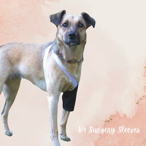Dog sleeves for hygroma on sale