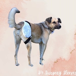 May include: A tan dog wearing a K9 Surgery Sleeve. The sleeve is white with a geometric pattern and black straps. The dog is standing on a pink and gold background. Text at the bottom reads "K9 Surgery Sleeves".