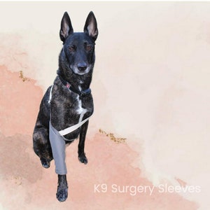 Padded elbow sleeve for dogs discount