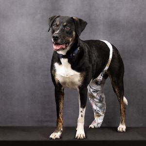 Rear/Hind Leg Protection/Cone Alternative/No Lick Sleeve/Surgery Suit Alternative image 1