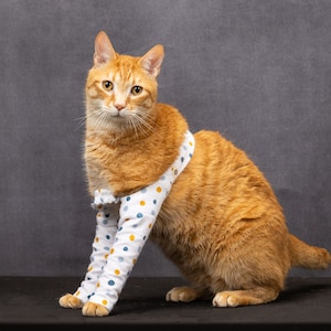 Paw Pads Cat Holding Front Paw Up Carpal Pad Cut Store