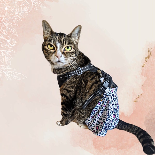 CAT PANTS/Rear/Hind Leg Protection/Cone Alternative/No Lick Sleeve/Surgery Suit Alternative