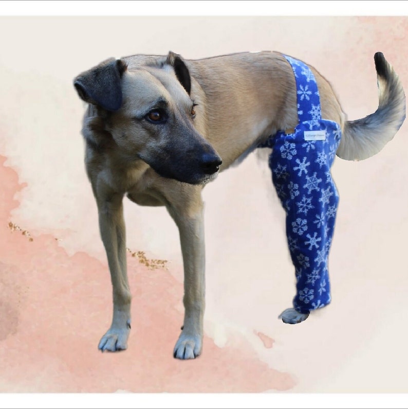 Rear/hind Leg WARM SLEEVE/ Post Operative Warm Sleeve/ Surgery Etsy