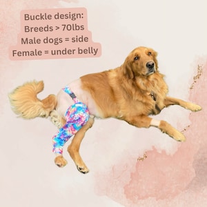 Rear/Hind Leg Protection/Cone Alternative/No Lick Sleeve/Surgery Suit Alternative image 8