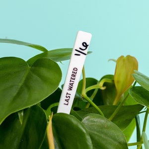 Last Watered Plant Marker Plant Water Reminder Plant Stake Set of 6 Gift for Plant Mom Gift for Plant Parent Plant Accessory image 1