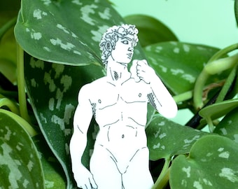 Classical Statue Plant Stake- Acrylic Plant Pick – David, Venus, Aphrodite, Flora, Hebe