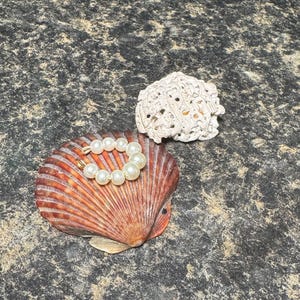 May include: A seashell with a pearl bracelet and a piece of white coral. The seashell is reddish-brown with a fan-like pattern. The pearl bracelet has white pearls. The coral is white and porous.