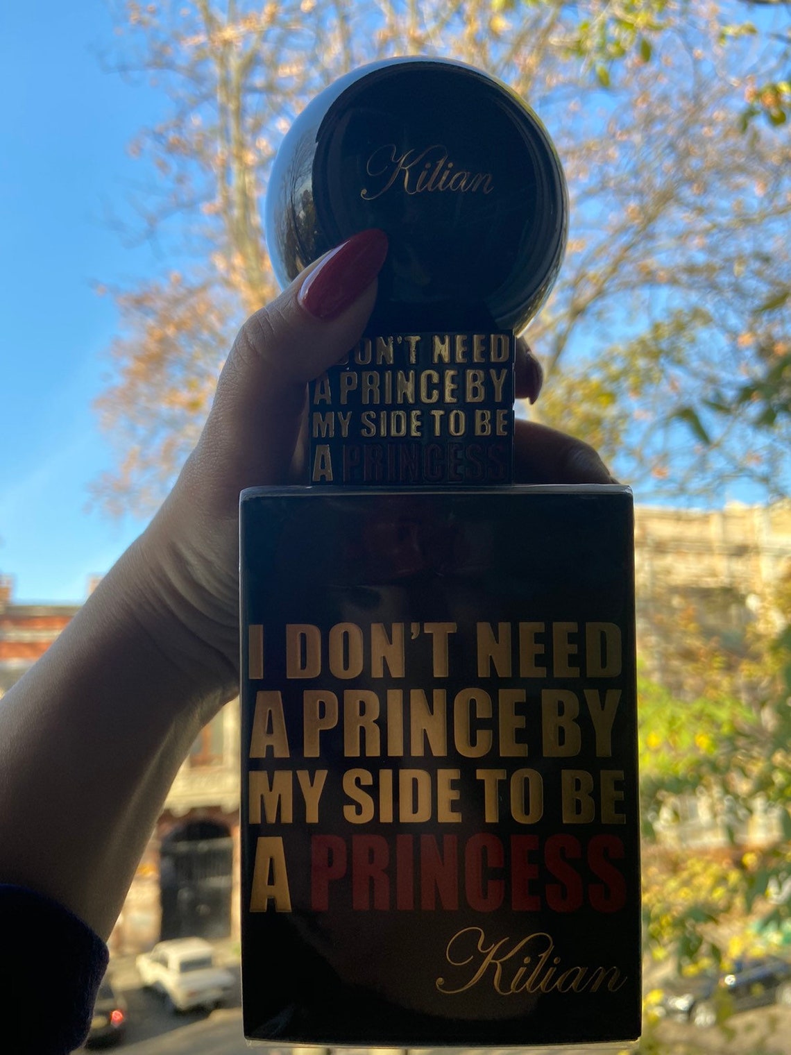 Kilian I Don't Need A Prince By My Side To Be A Princess Etsy