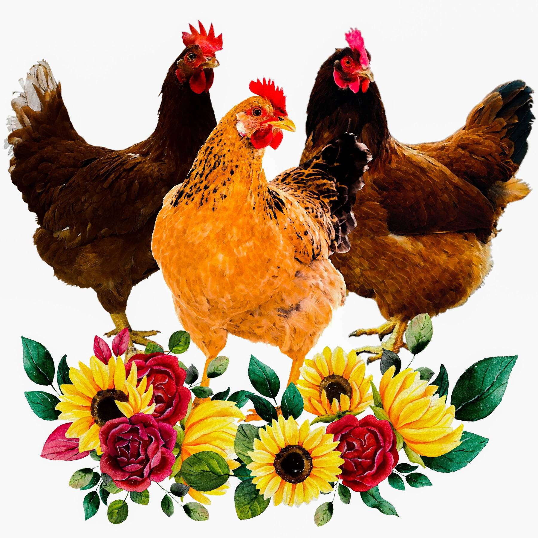 Chicken and Flowers Sublimation Transfer Etsy