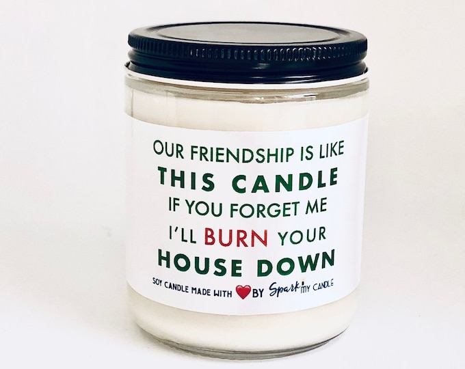 Best friends Candle gift, Friendship Gift, Candle Gift for friend, Funny Friends Gift, Holiday gifts for Friend, Soy Candle , Funny Candle