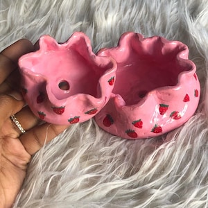 Strawberry Succulent Planter (set)