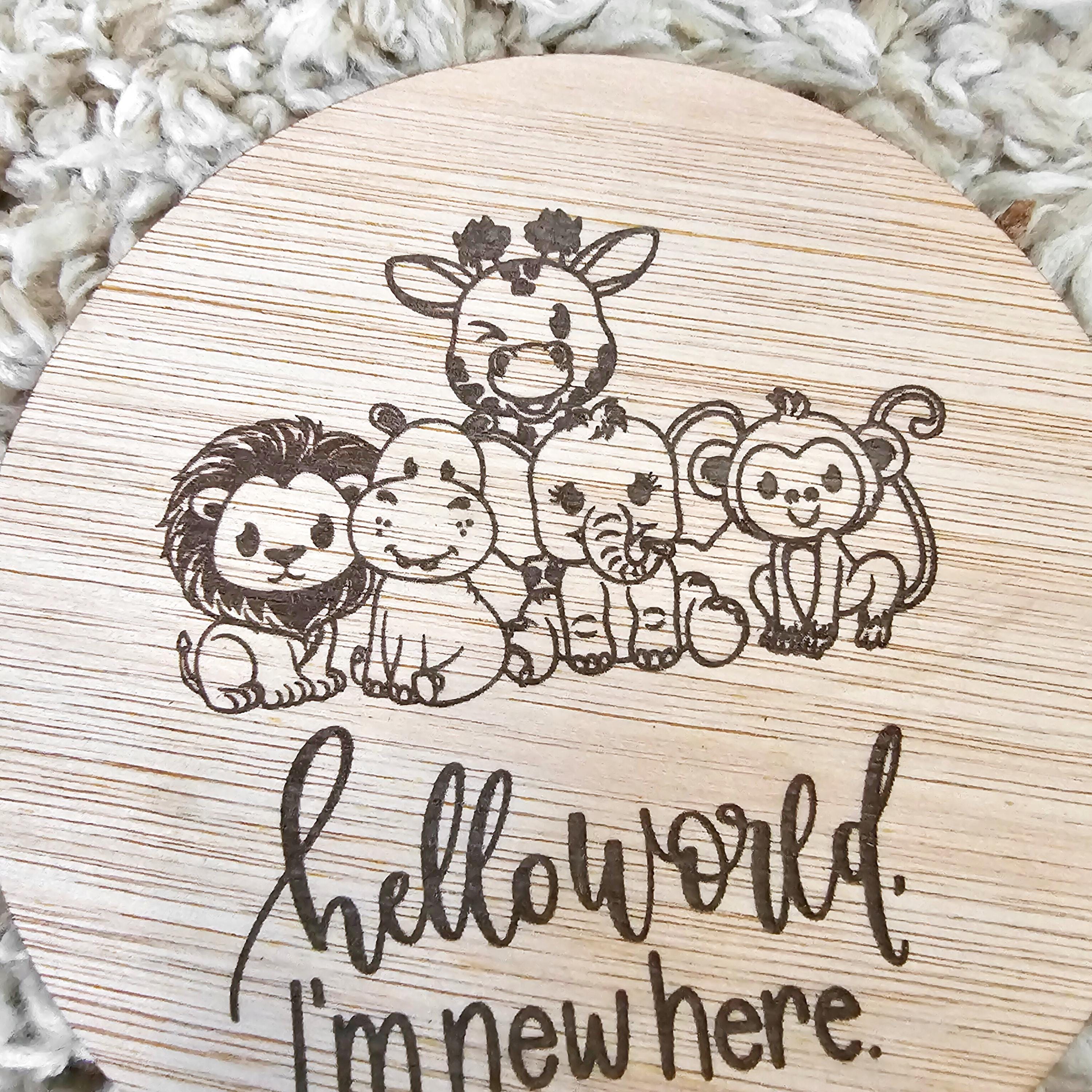 Safari Baby Milestone Discs - Wooden Monthly Milestone Cards - Hello ...