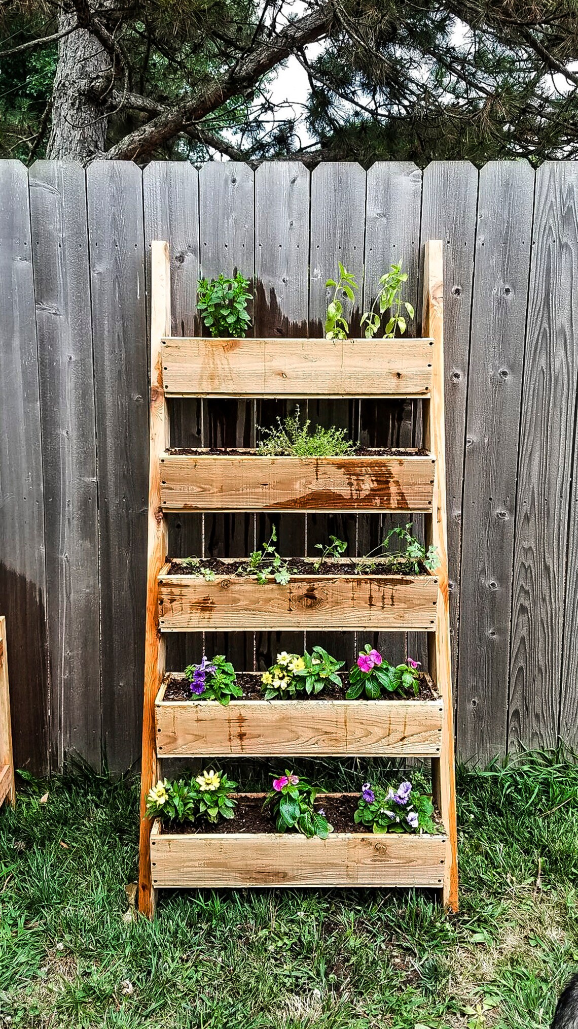 Ladder Planter Box Plans Garden Ladder Box Ladder Planter Etsy