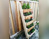 Ladder Planter Box Plans, Garden Ladder Box, Ladder Planter, Flower Ladder Box, Vertical Planter Box