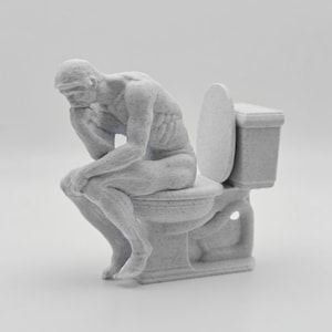 Könnte beinhalten: Eine hellgraue, gesprenkelte Figur, die einen muskulösen Menschen in einer sitzenden, nachdenklichen Pose darstellt, der das Kinn auf eine Hand stützt und auf einer Toilette sitzt. Die Skulptur hat eine matte, texturierte Oberfläche mit dunklen Flecken.