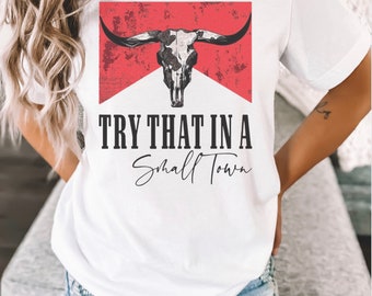 Try That in a Small Town Shirt, Jason Aldean, Country Concert, Small Town Shirt, Jason Aldean Shirt, Country Concert, Jason Aldean Lyrics