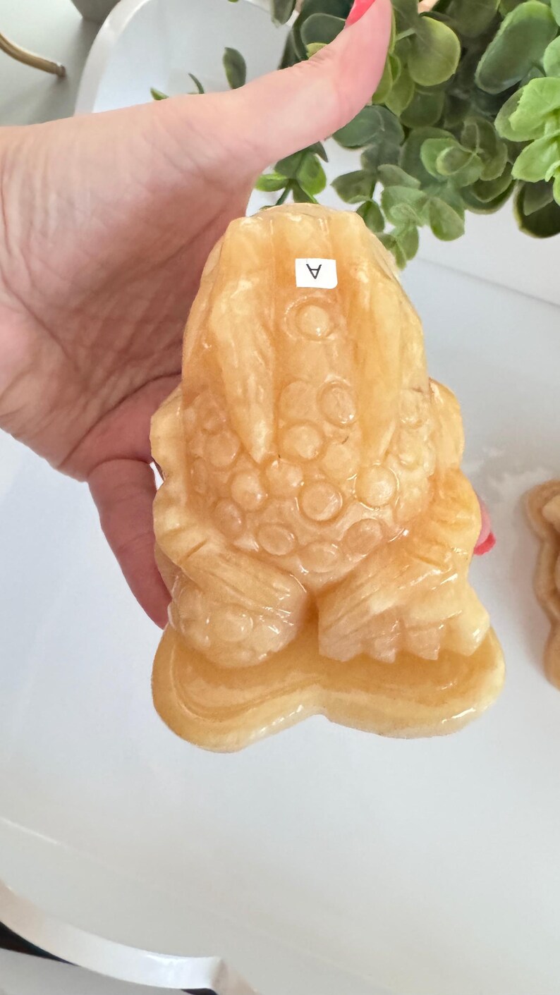 Stuffed Coin Toad 4” Orange Calcite Money Toad With Spinning Coin, Lucky Frog - Etsy