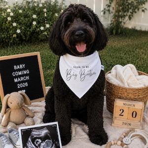 May include: A black dog wearing a white triangular bandana with the black text "SOON TO BE Big Brother" printed on it. The dog is surrounded by a black letter board, a tan crochet rabbit, baby shoes, an ultrasound photo, and a wooden calendar.