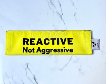 Lead Sleeve for Reactive, Not Agressive Dogs, Anxious Dog Leash Sign, Nervous Leash Cover, Waterproof, Washable and Durable, Double sided