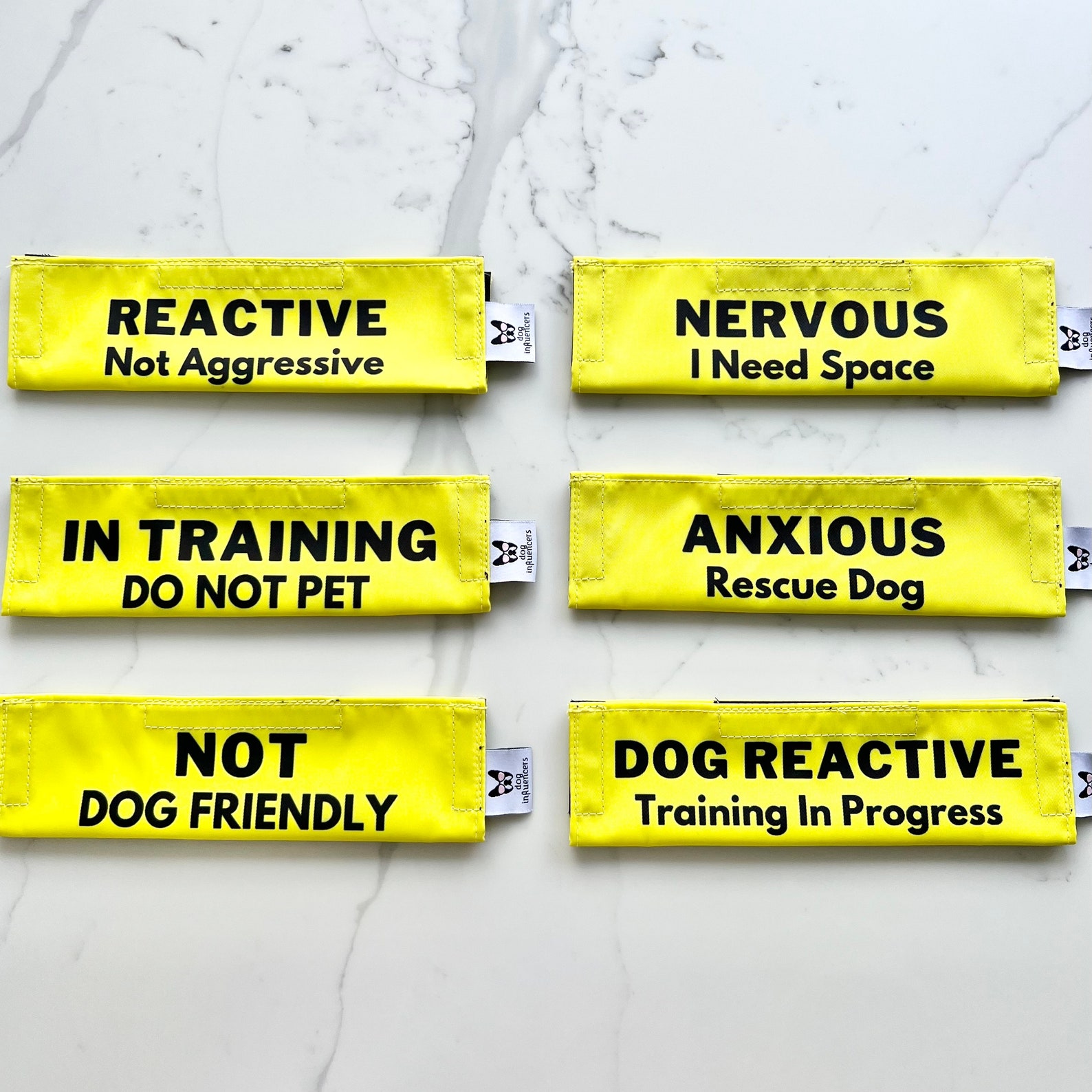 Dog training warning leash