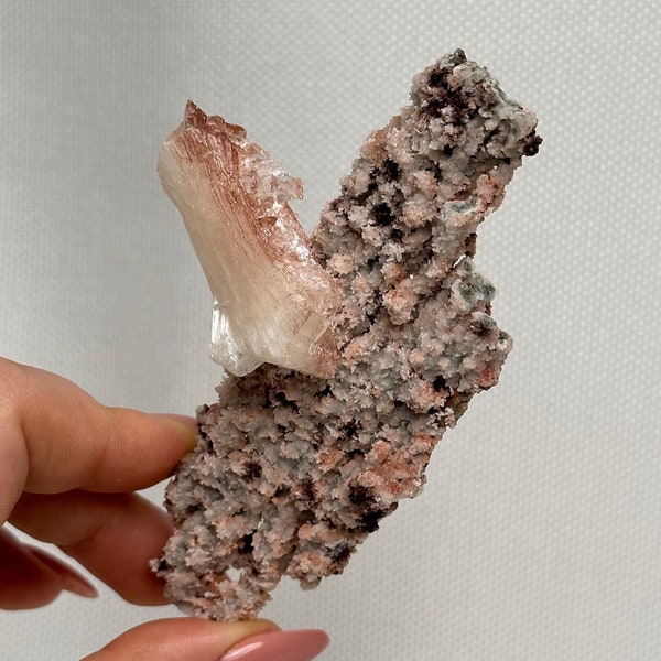 Rare Apophyllite on Druzy Coral Chalcedony Coated With Red Hematite, Super Grade Zeolite Specimen