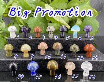 18 Kinds Natural  Crystal Mushroom,Crystal Carving,Reiki Healing,Crystal Pendant,Home Decoration,Crystal Gift,Mineral Samples