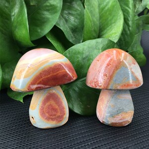 1PC Natural Ocean Jasper Mushroom,Crystal Carving,Quartz Crystal Mushroom,Home Decoration,Mineral Sample,Reiki Healing,Crystal Gifts 45g+