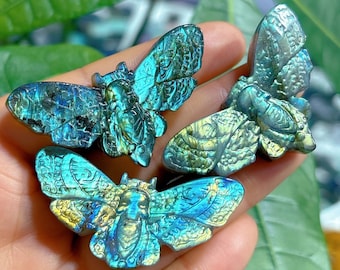 1PC Natural Labradorite Moth,Quartz Crystal Moth,Christmas Gift,Crystal Gift,Home Decoration,Crystal Heal,Crystal Gifts,Crystal Energy