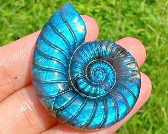 May include: A blue and green labradorite gemstone carved into the shape of an ammonite. The gemstone has an iridescent sheen.