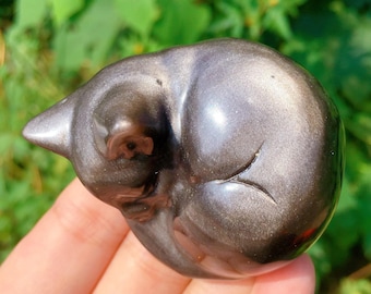 May include: A small, silver-colored, sleeping cat figurine made of polished obsidian. The cat is curled up in a ball with its tail tucked under its body.
