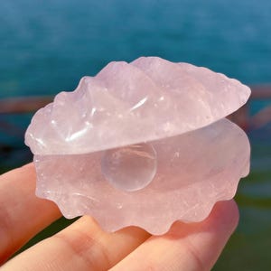 Könnte beinhalten: Eine geschnitzte, hellrosa Rosenquarz-Muschel mit einer Perle im Inneren. Die Muschel ist geöffnet und gibt die Perle frei. Die Ränder der Schale sind gewellt. Der Hintergrund ist eine verschwommene Ansicht von Wasser.