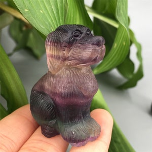 1pc Natural Fluorite Quartz Crystal Dog,Hand Carved,Crystal Heal,Crystal Animal,Home Decoration,Reiki Healing,Crystal Gifts