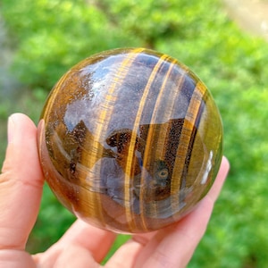 May include: A polished tiger's eye sphere with golden brown and black stripes. The sphere is smooth and reflective, with a slight sheen.