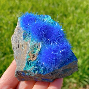 Può includere: Una roccia grigia ruvida con un gruppo di cristalli blu brillanti a forma di ago. I cristalli sono disposti in un gruppo, alcuni puntano verso l'alto e altri verso il basso. La roccia è circa delle dimensioni di una mano.