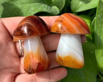 1pc 2‘’ Natural Sardonyx mushroom,Mushroom Pendants,Hand Carved Mushroom,Quartz Carving,Crystal Collection,Home decoration
