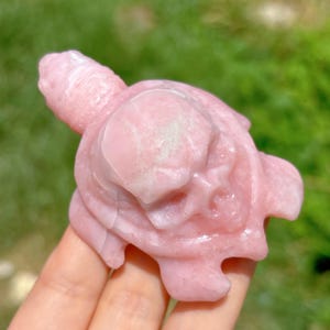 Puede incluir: Una figura de tortuga de piedra tallada en rosa. La tortuga tiene un caparazón, cabeza y aletas detallados. La figura es de color rosa claro y parece estar hecha de un material de piedra lisa. El fondo es verde borroso.