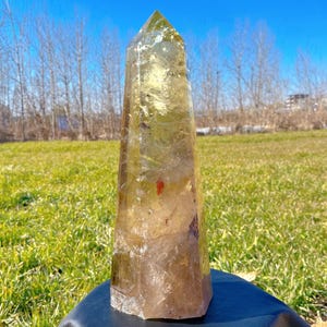 May include: A large, clear, yellow citrine crystal point with a natural, raw, and rough texture. The crystal is standing on a dark blue surface with a green grassy background.