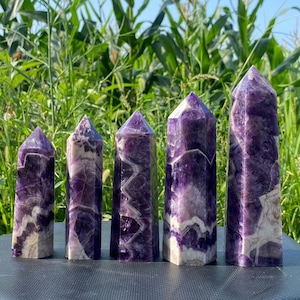 May include: Six amethyst crystal points of varying sizes, with a purple and white banded pattern, arranged in a row on a black surface.