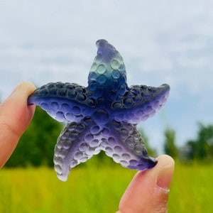 Natural Fluorite Starfish,Hand Carved,Crystal Carving,Home Decoration,Reiki Healing,Crystal Collection,Crystal gifts