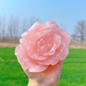 Natuurlijke rozenkwartsbloem, kwartskristalbloem, kristalsnijwerk, reikihealing, kristallen sculptuur, collectie, decoratie, energie, kristallen geschenken