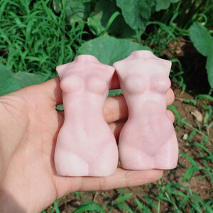 Op de afbeelding: Twee roze, gladde, gebeeldhouwde vrouwelijke torso-figuurtjes. De figuurtjes zijn gemaakt van een glad, gepolijst materiaal en hebben een realistische vorm.