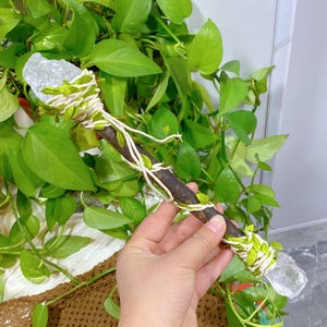 Handmade Log Wind Weaving Clear Quartz Magic Wand,Cosplay Magic Wand For Witches And Wizards,Home Decoration,Healing Crystal,Crystal Gifts