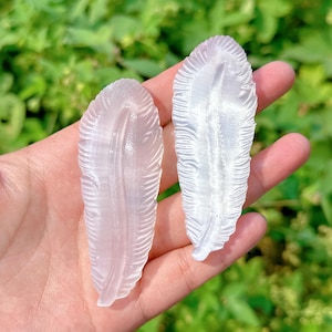 Natural Satin Spar Selenite Feather,Hand Carving,Crystal Collection,Crystal Gift,Crystal Healing,Home Decoration