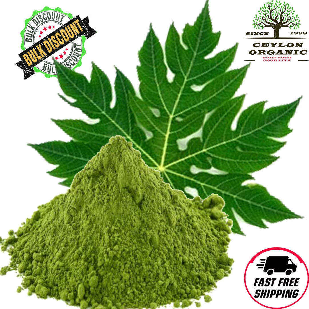 Dried Organic Papaya Leaves/leaf Ground Powder Healthy Drink Etsy