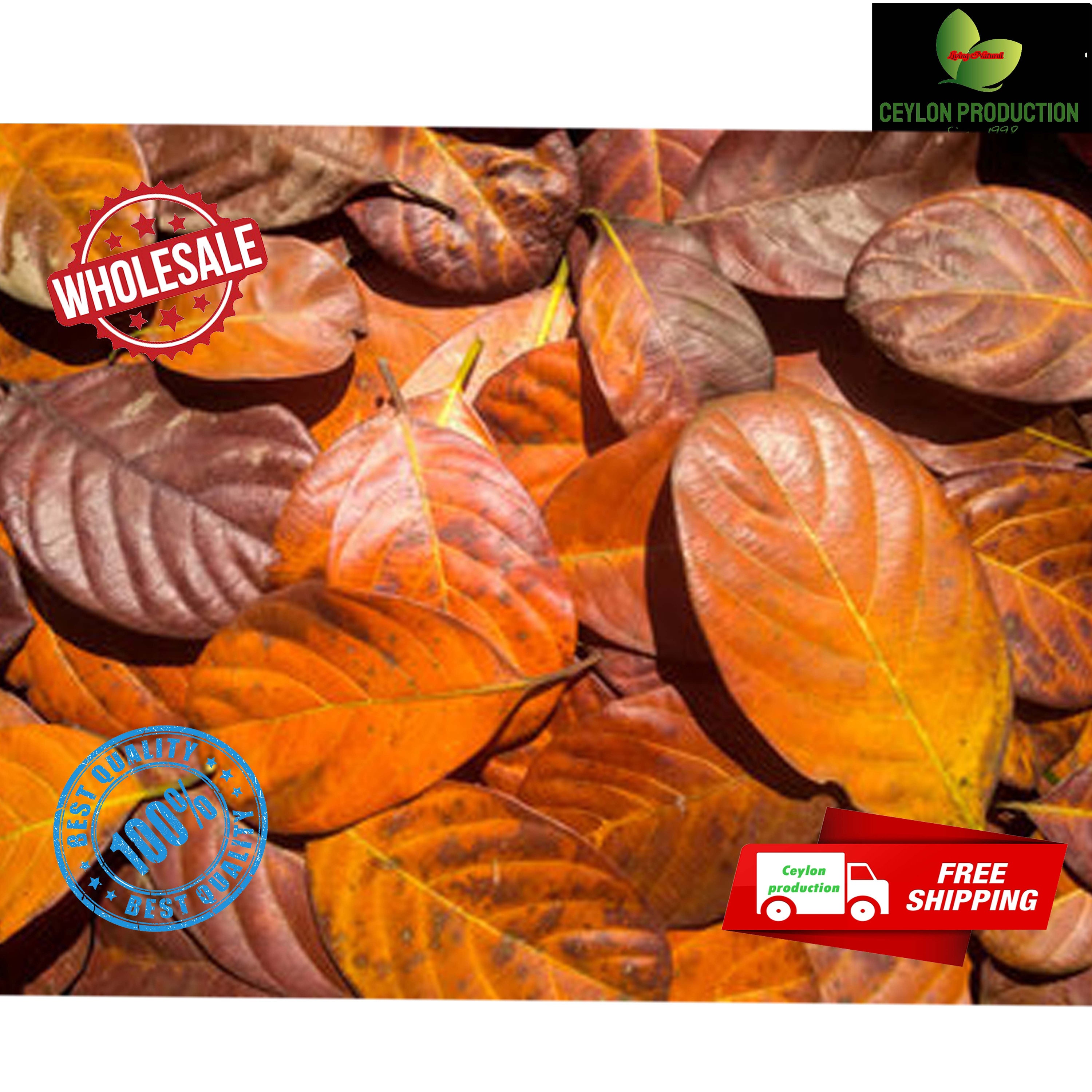Dried Jack Fruit Leave Shrimp Betta Fish Aquarium Best Organic Aquarium