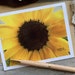 see more listings in the Cartes pour toutes les occasions section