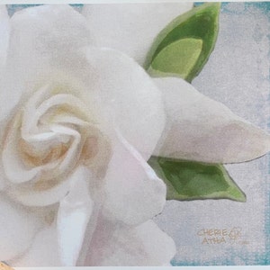 Carte de correspondance gardénia, fleur de mariée blanche, cadeau de mariage cape jasmin, carte de correspondance effet aquarelle florale cape romantique à partir d'une photographie originale image 3
