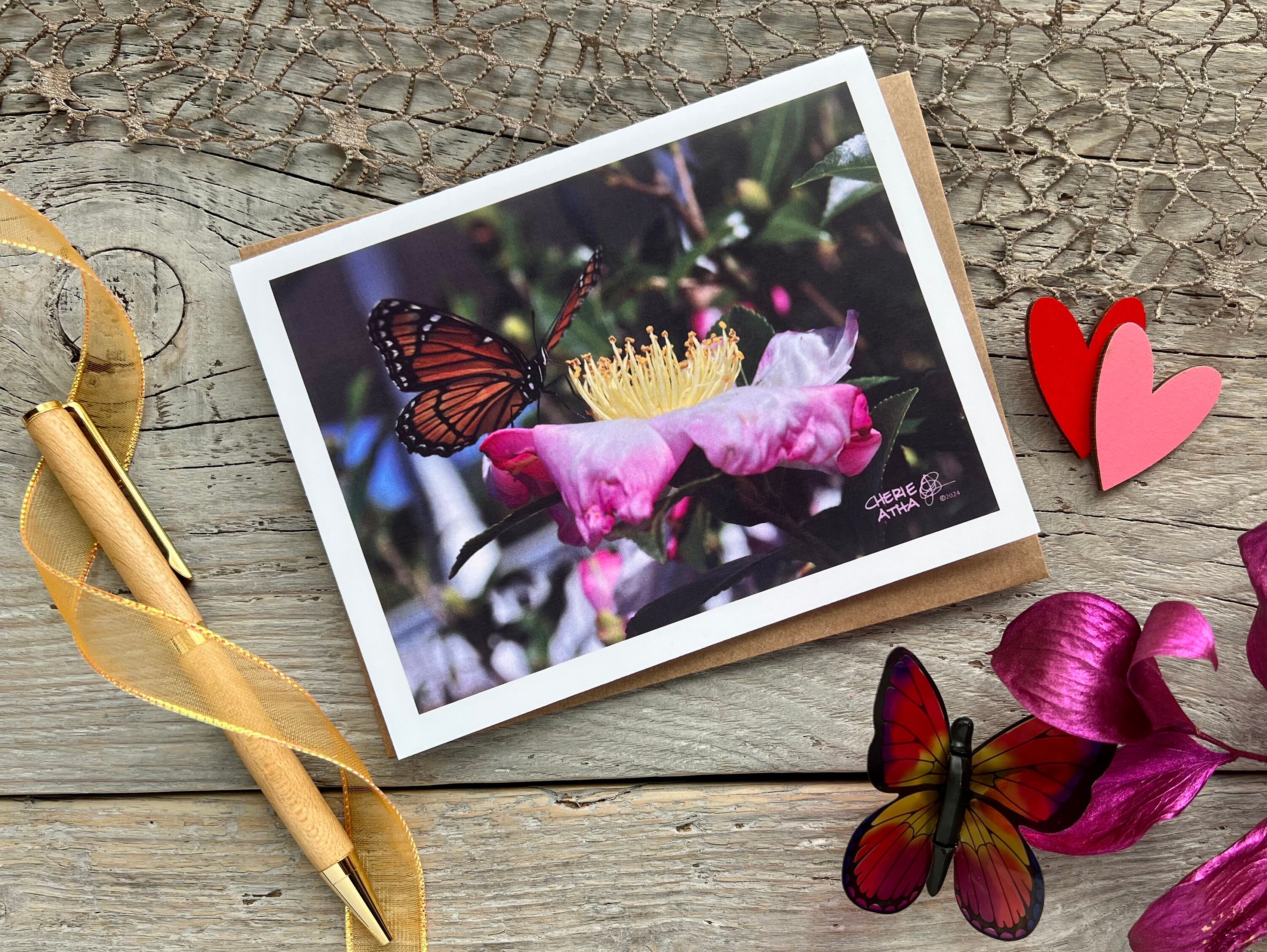 Monarch Butterfly Note Card, Original Photograph of a Monarch Butterfly ...